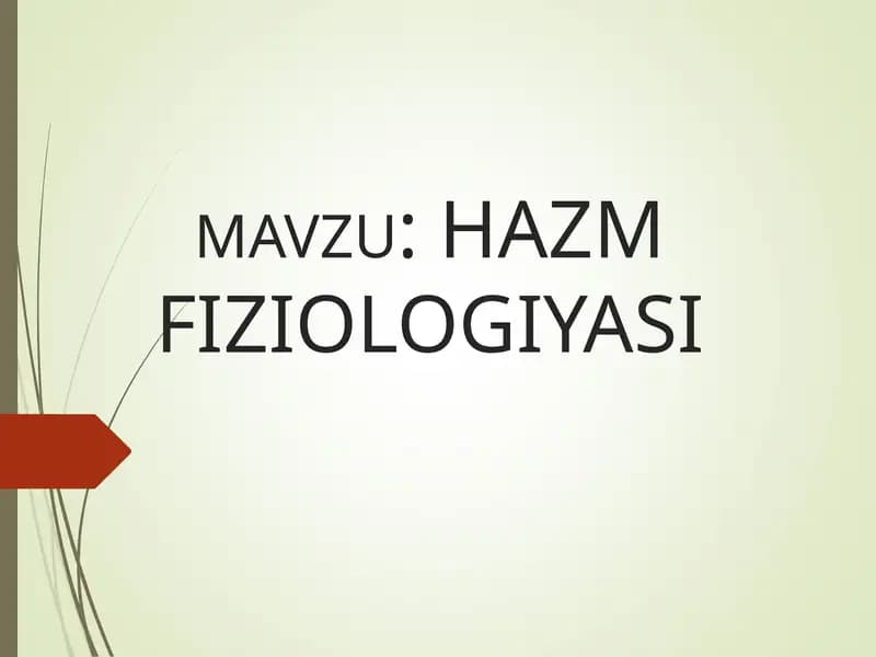 HAZM FIZIOLOGIYASI