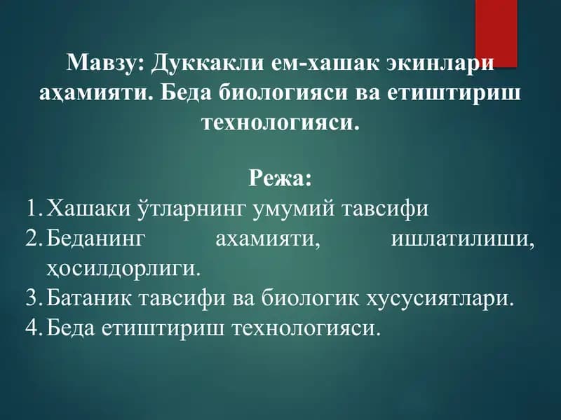 Дуккаклием-хашак экинлари аҳамияти