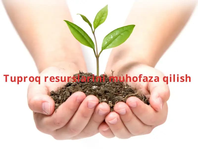 Tuproq resurslarini muhofaza qilish