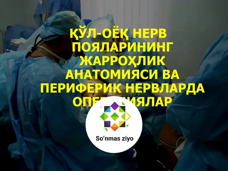 Нерв системаси анатомияси ва операциялар