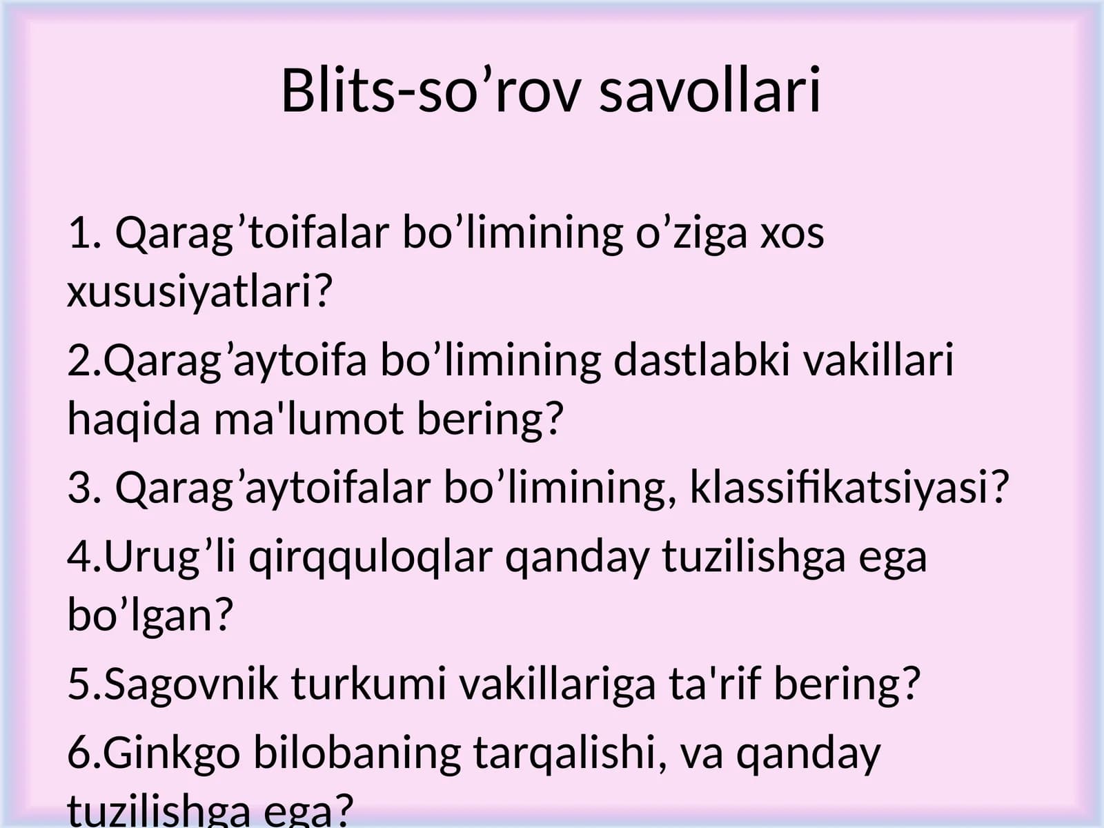 Blits-so’rov savollari