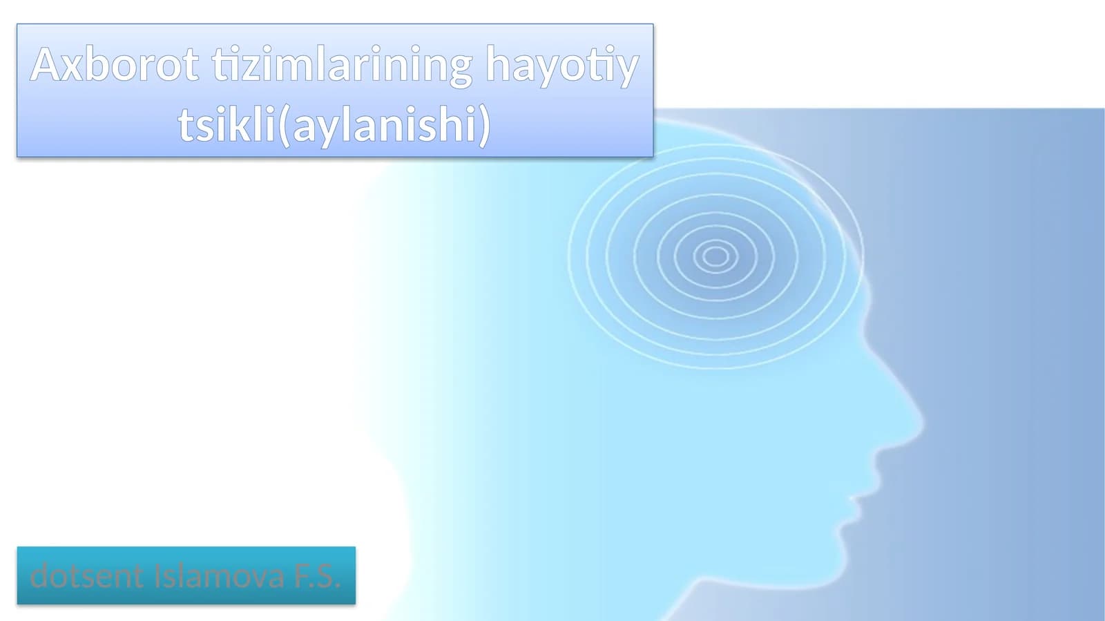 Axborot tizimlarining hayotiy tsikli (aylanishi)
