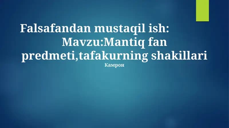 Falsafandan mustaqil ish