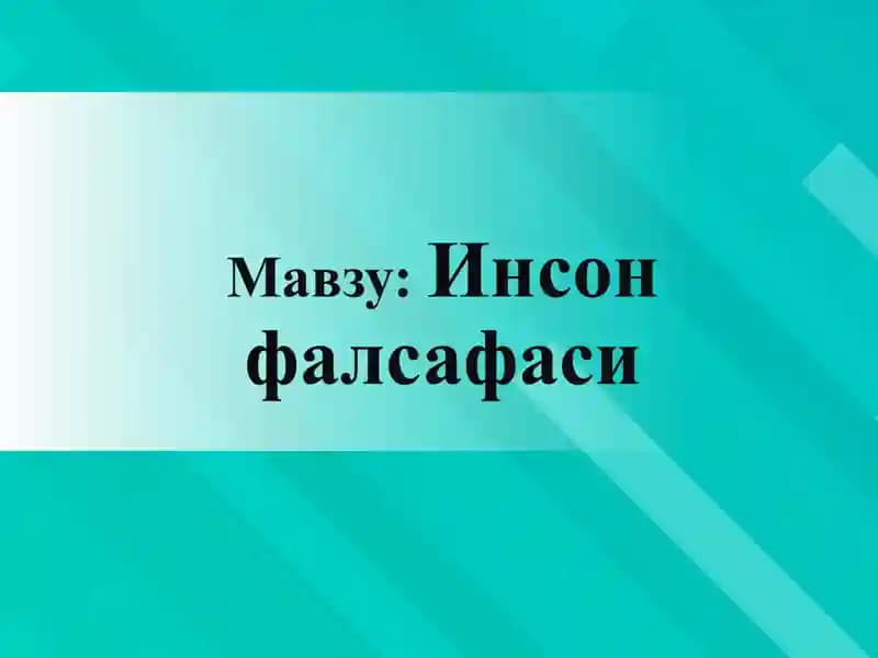 Инсон фаолиятининг таркиби