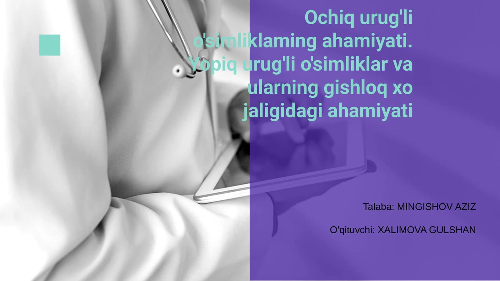 Ochiq urug'li o'simliklar