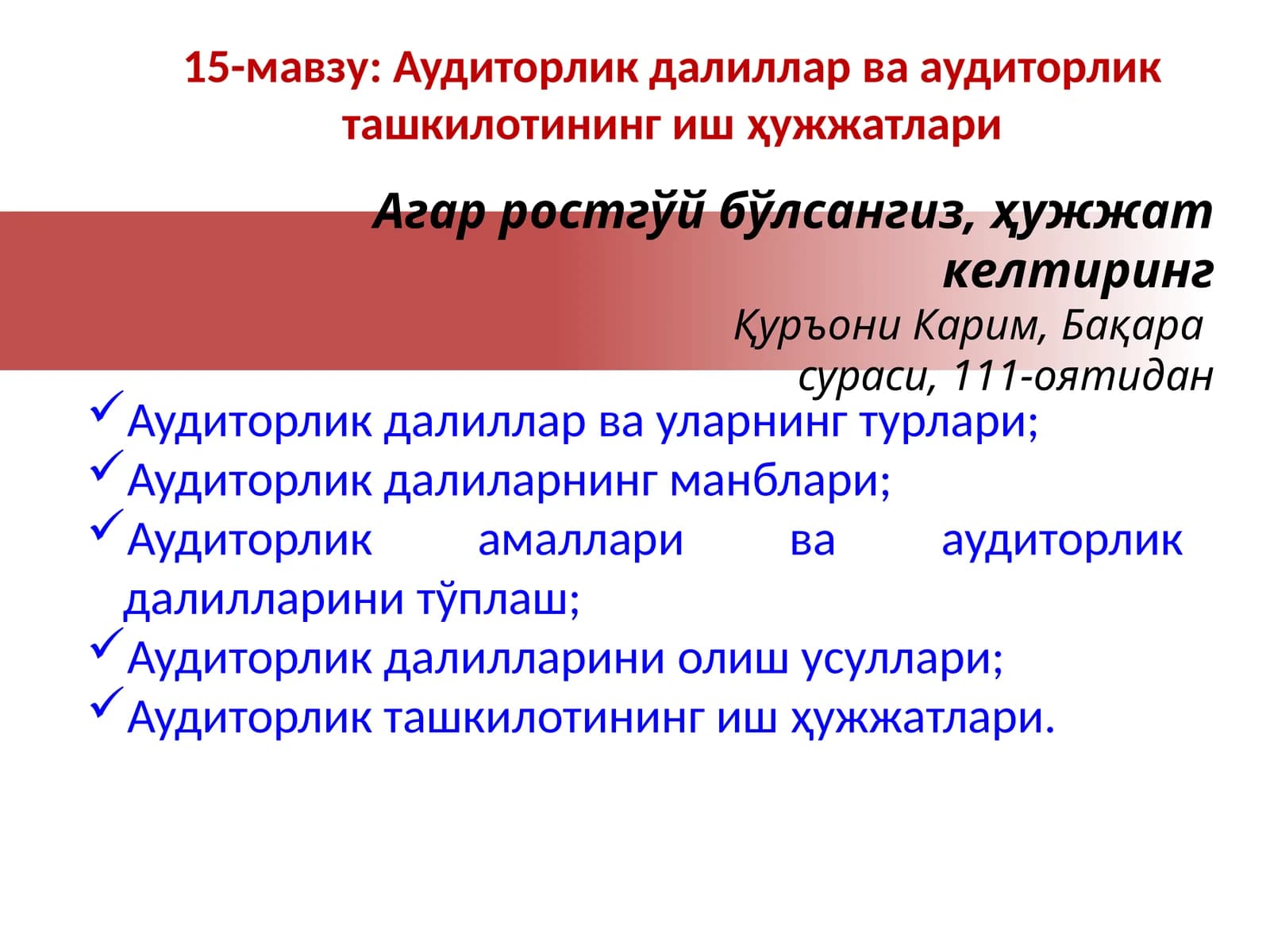 Аудиторлик далиллари