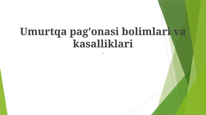 Bel umurtqasi
