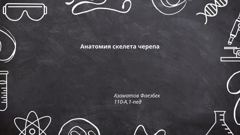 Анатомия скелета черепа