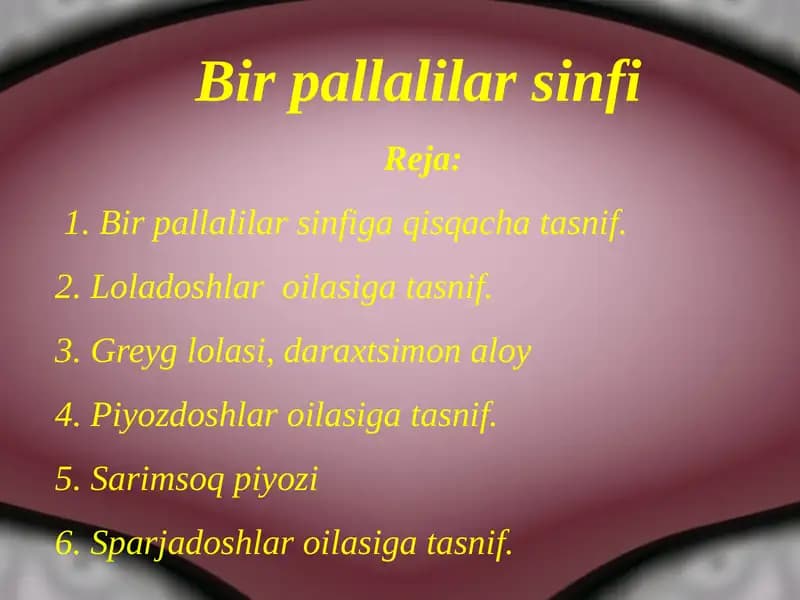 Birpallalilarsinfi