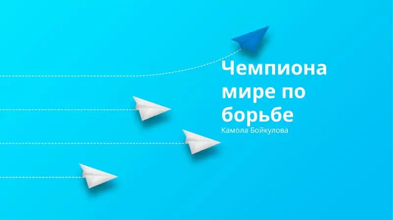 История и стили борьбы