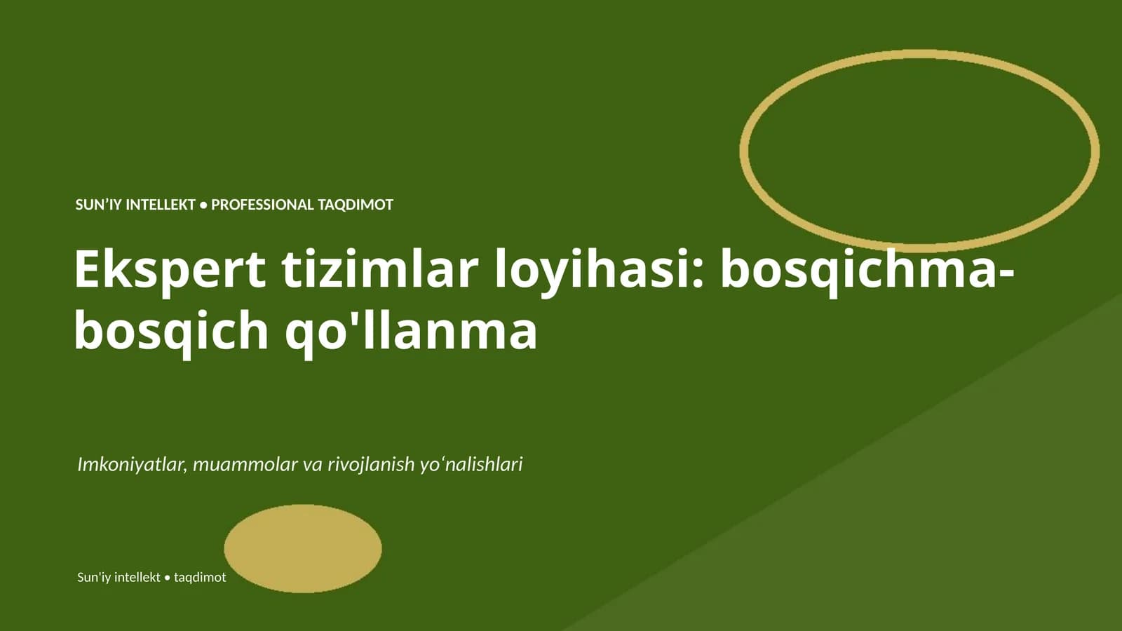 Ekspert tizimlar loyihasi: bosqichma-bosqich qo'llanma