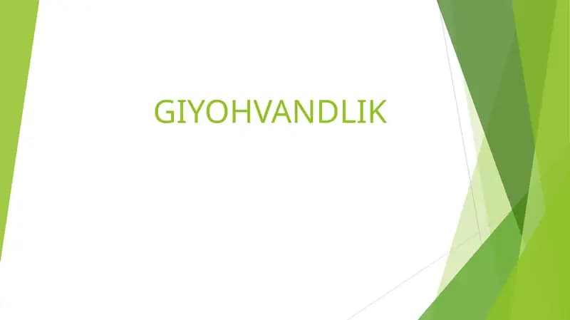 GIYOHVANDLIK