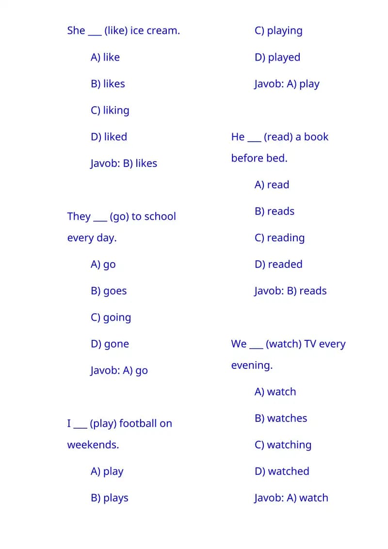 English Grammar Quiz
