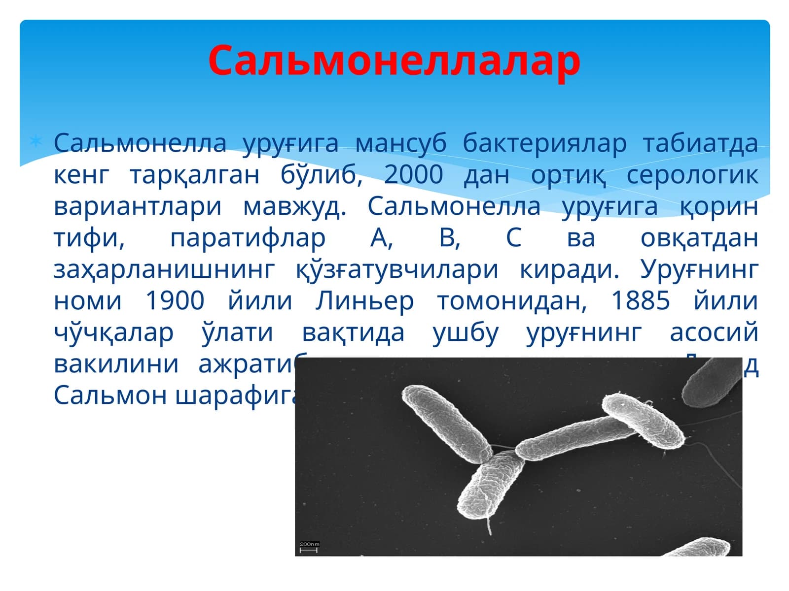 Сальмонеллалар
