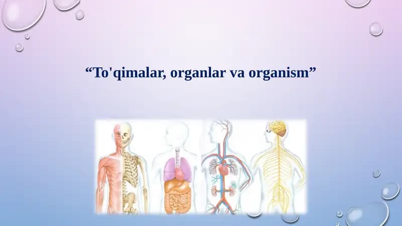To'qimalar, organlar va organizm.
