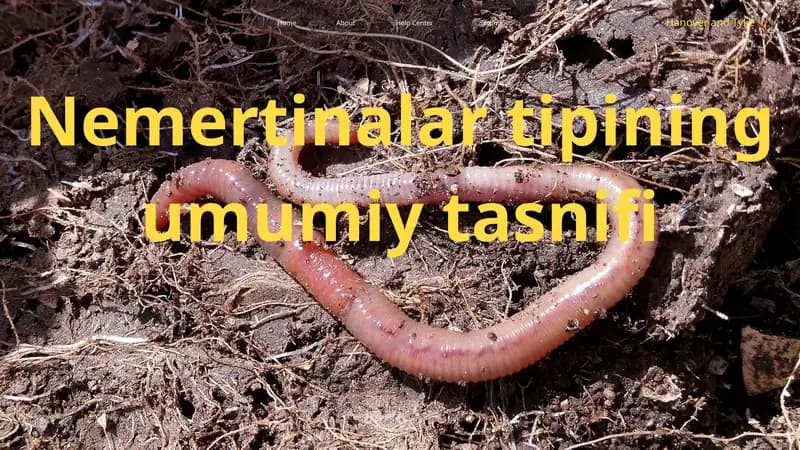 bio slayd nermertinalar