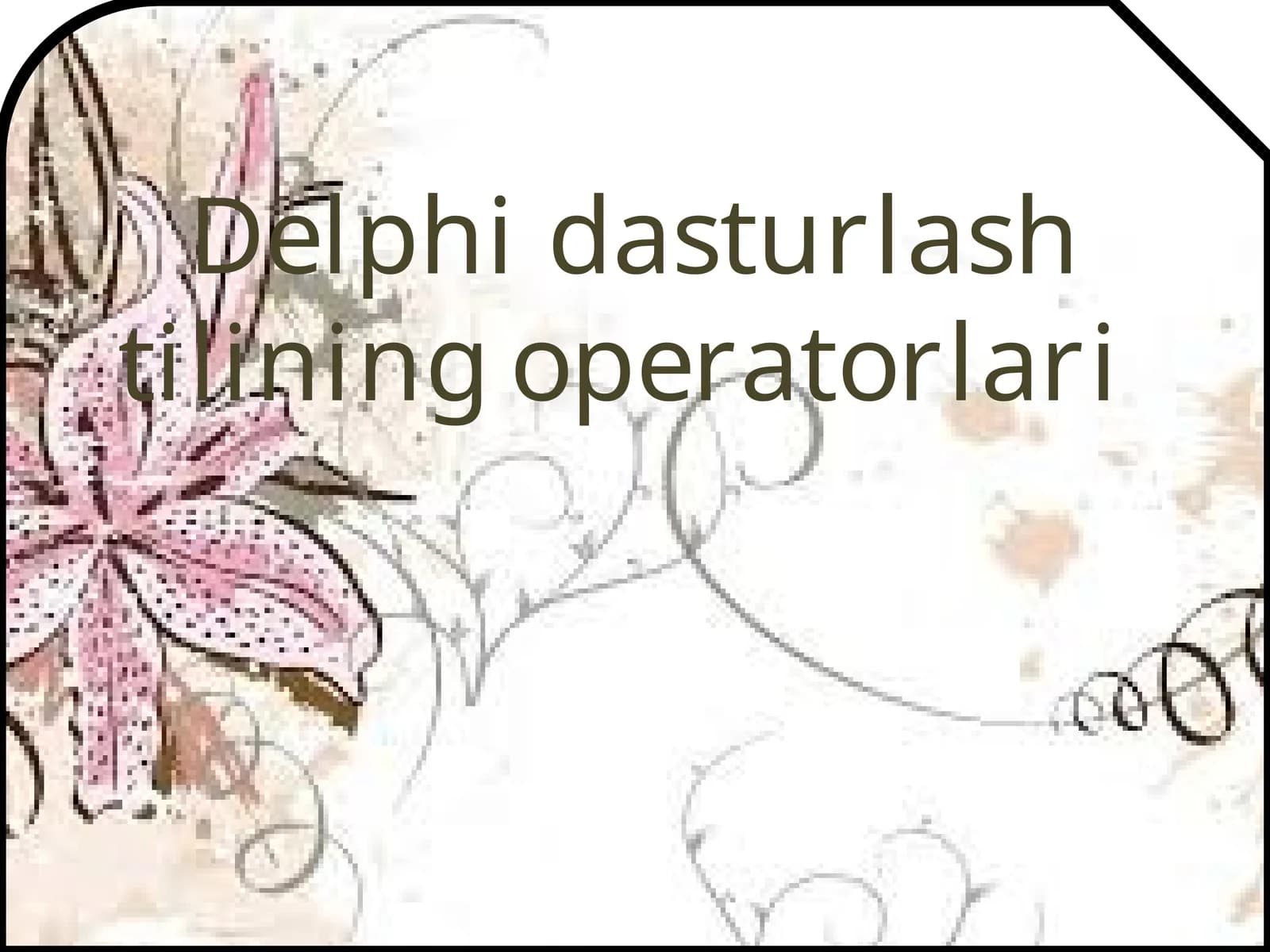 Delphi  dasturlash  tilining  operatorlari