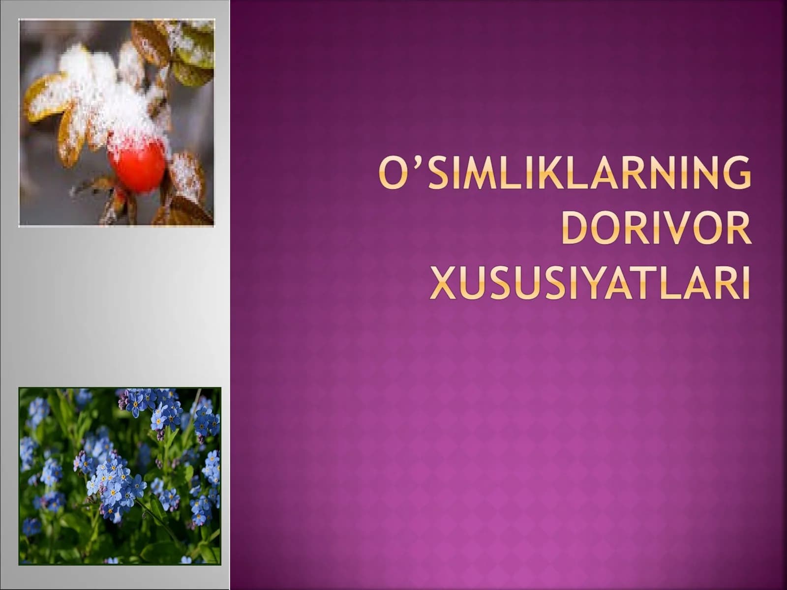 Tib qonunlari