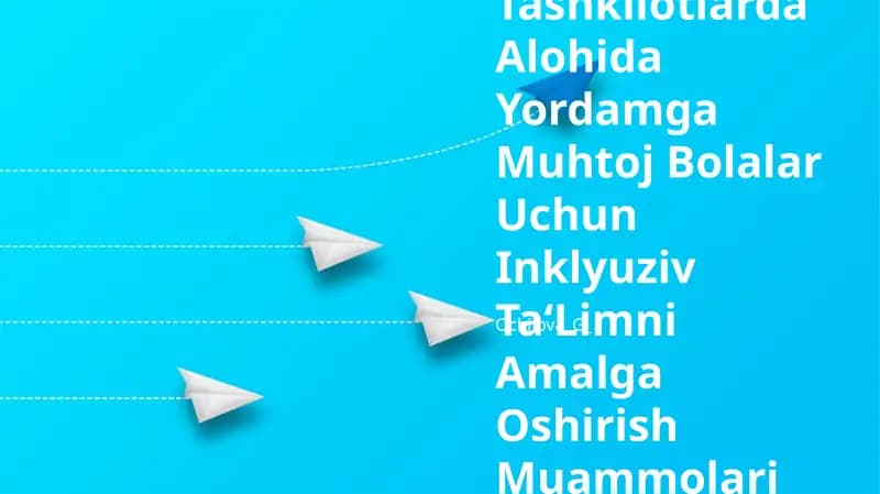Umum Ta‘Lim Tashkilotlarda Alohida Yordamga Muhtoj Bolalar Uchun Inklyuziv Ta‘Limni Amalga Oshirish Muammolari Va Istiqlolari