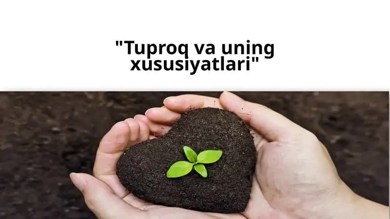 Tuproq va uning xususiyatlari