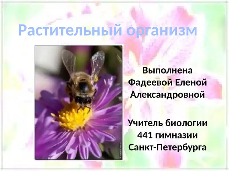 Rastitelnый organizm