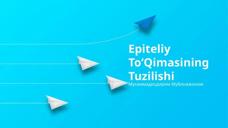 Epiteliy ToʻQimasining Tuzilishi