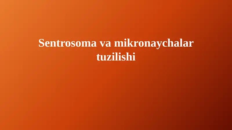 Sentrosoma va Mikronaychalar Tuzilishi