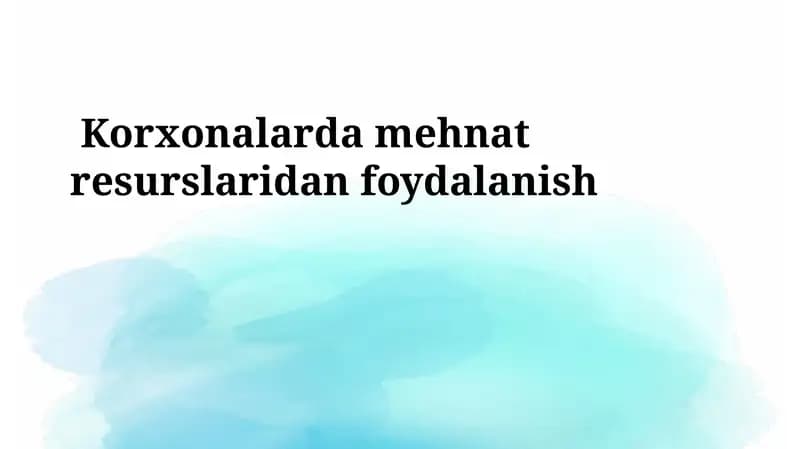 Mehnat Resurslari Bilan Ta'minlash