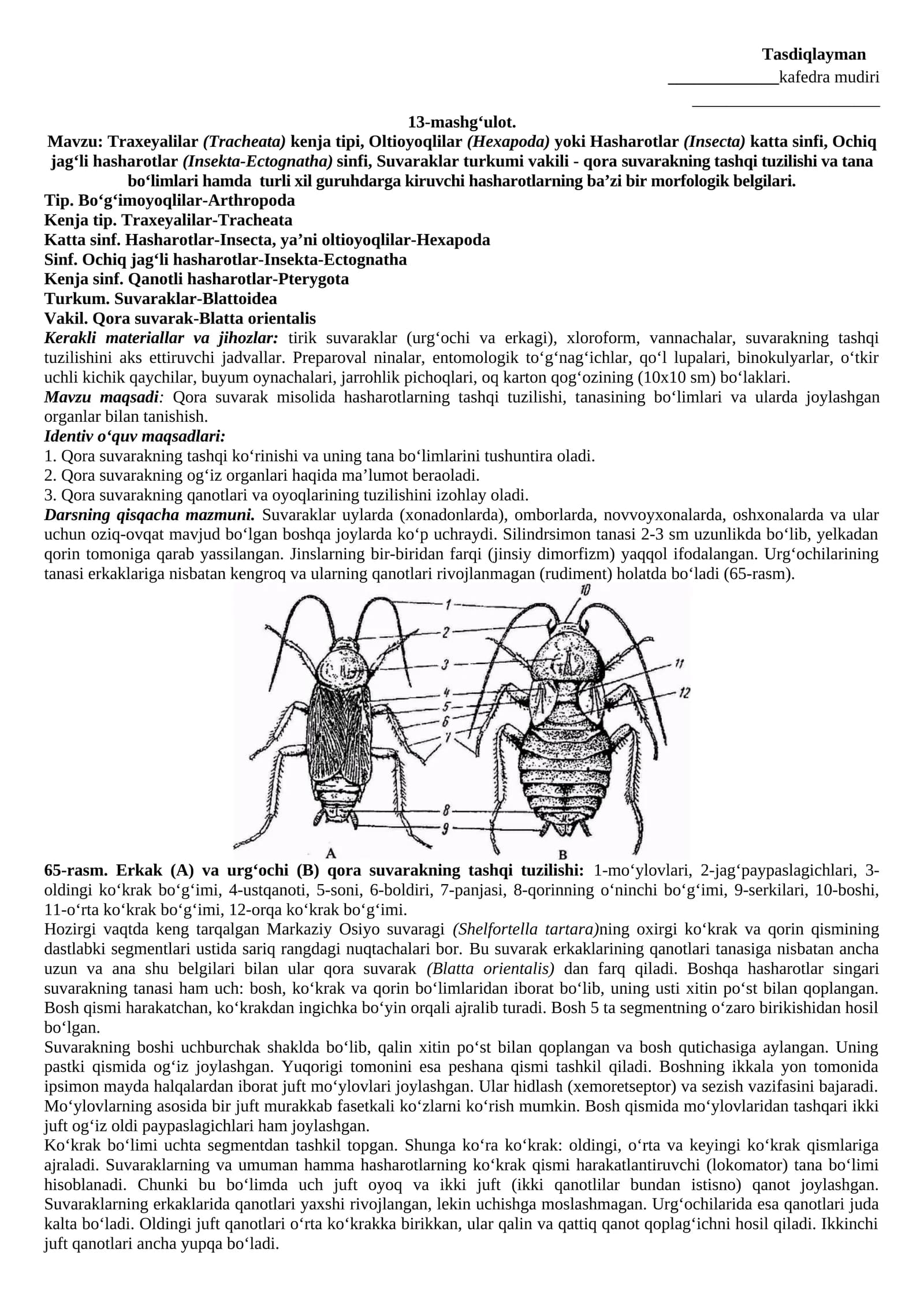 Suvaraklar (Blattoidea) va ularning taksonomik manbalari