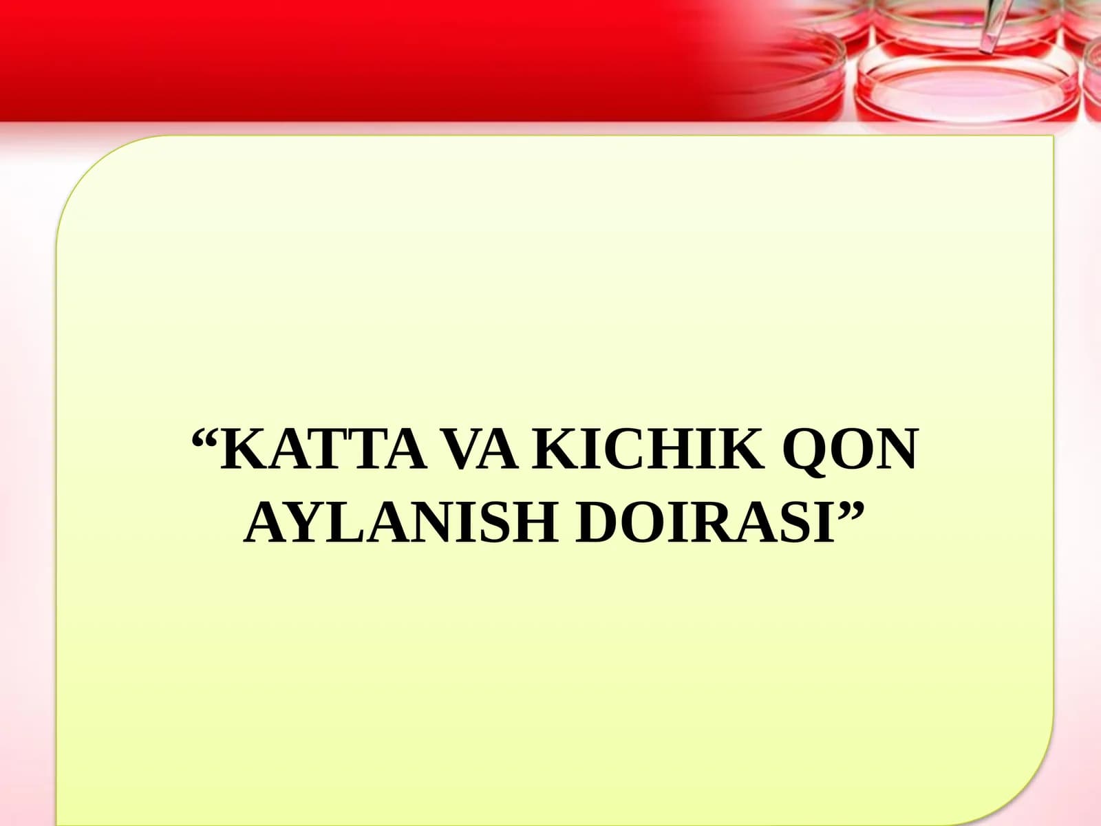 Yurak va qon to'mirlari