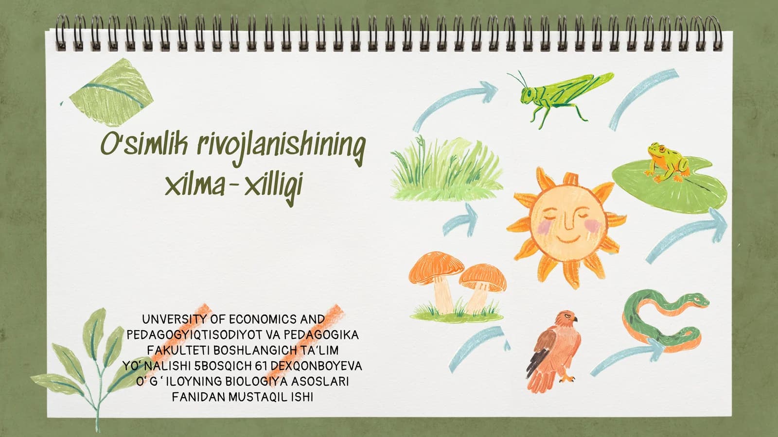 Oʻsimlik rivojlanishining xilma-xilligi