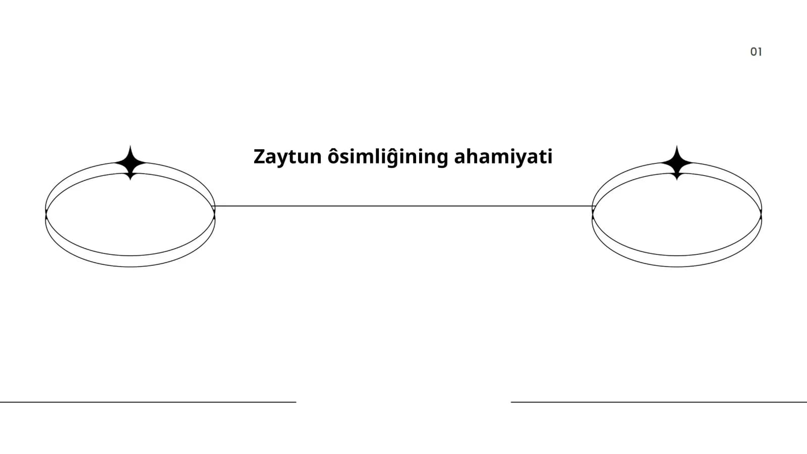 Zaytun ôsimliĝining ahamiyati