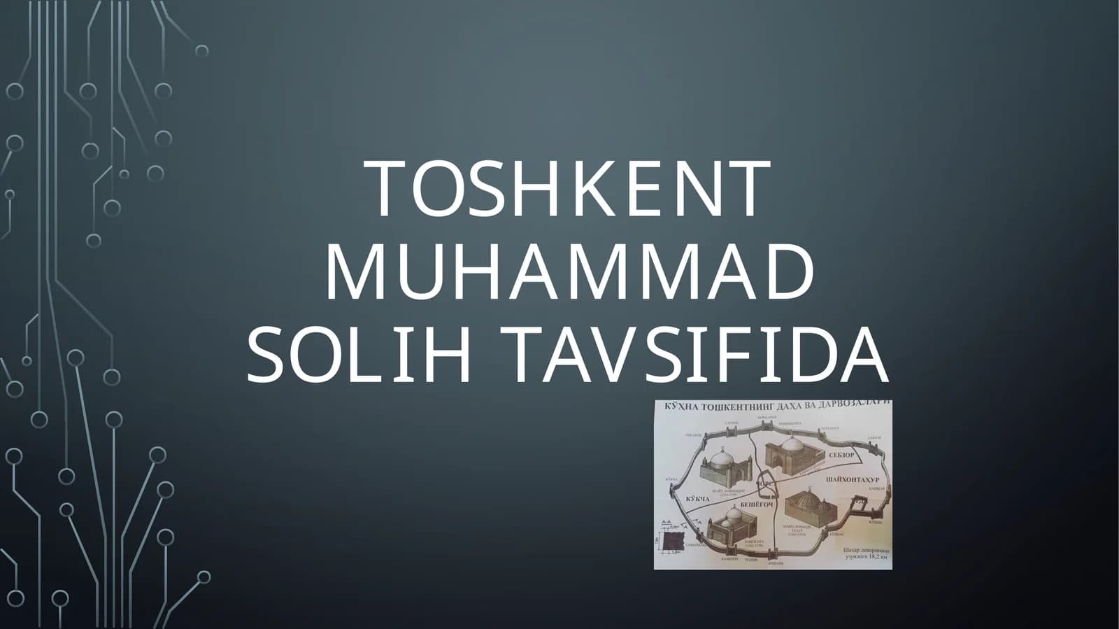 Toshkent muhammad solih tavsifida
