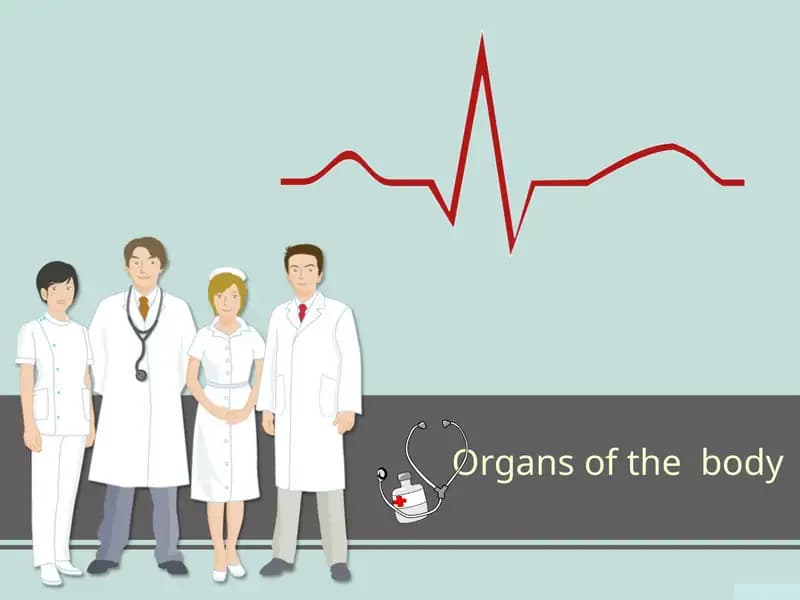 Organs of the body