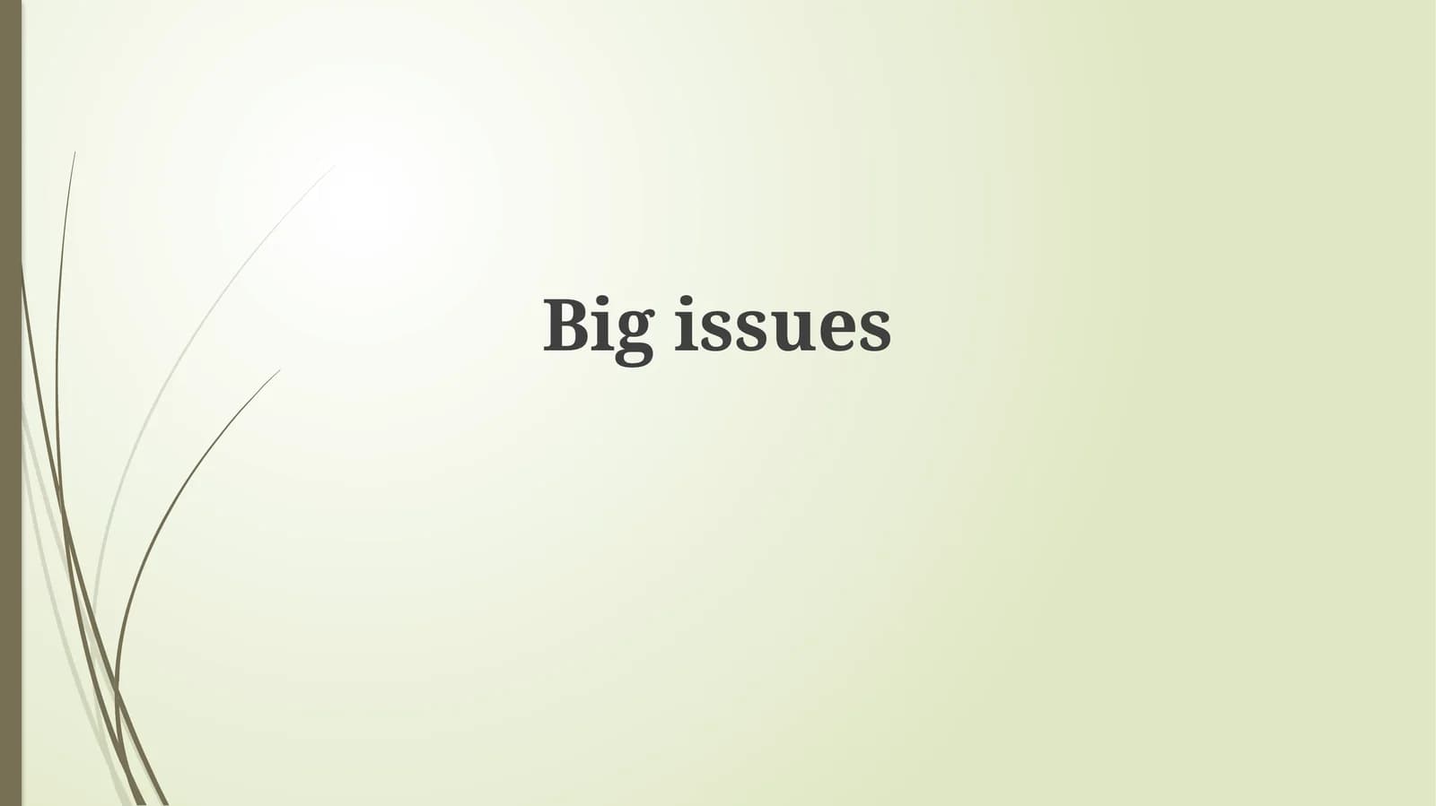 Big Issues