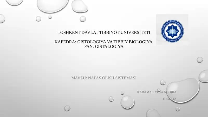 NAFAS OLISH SISTEMASI