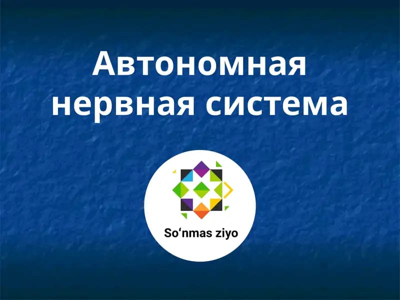 Автономная нервная система