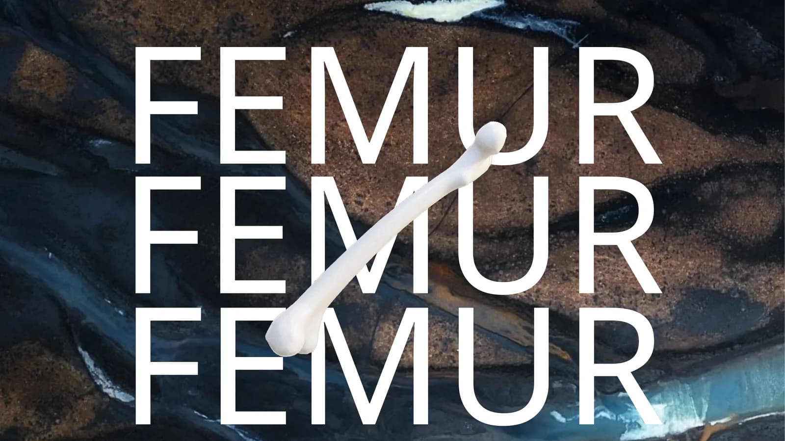 FEMUR