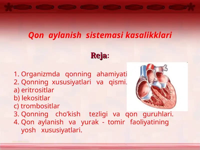 qon aylanish tizimi kasalliklari