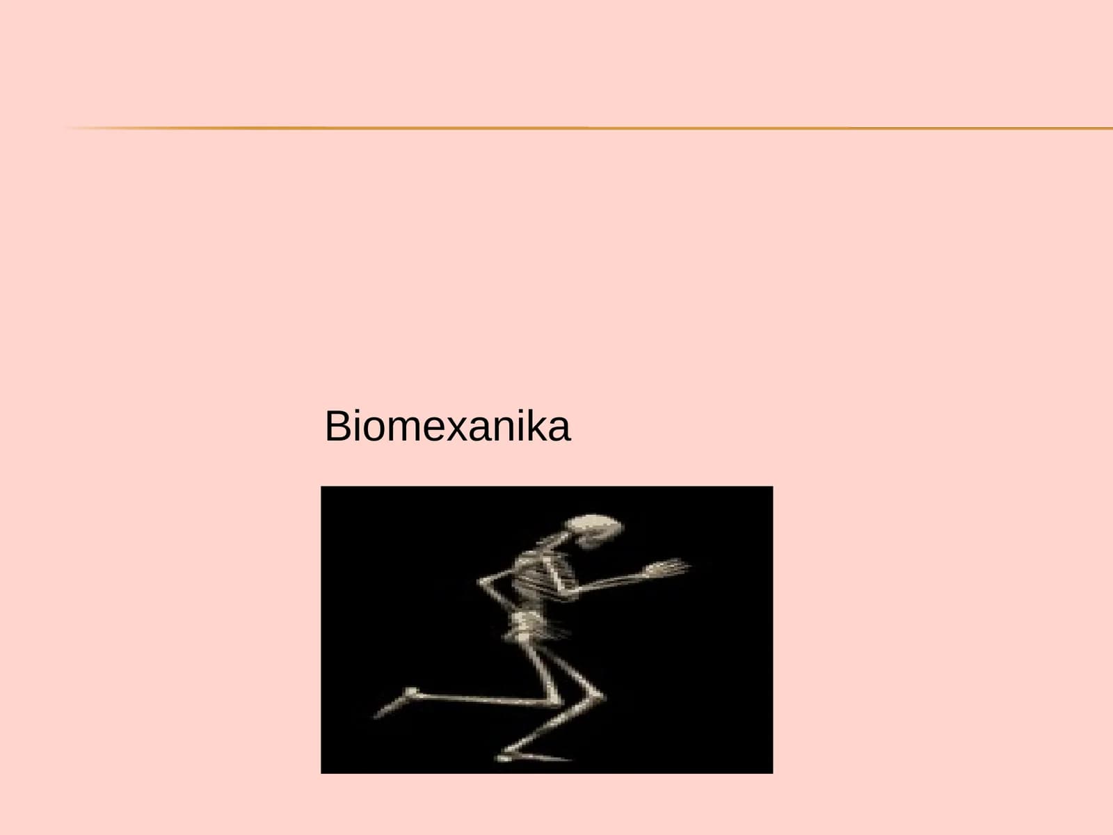 Biomexanika
