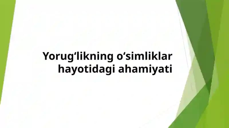 Yorugʻlikning oʻsimliklar hayotidagi ahamiyati