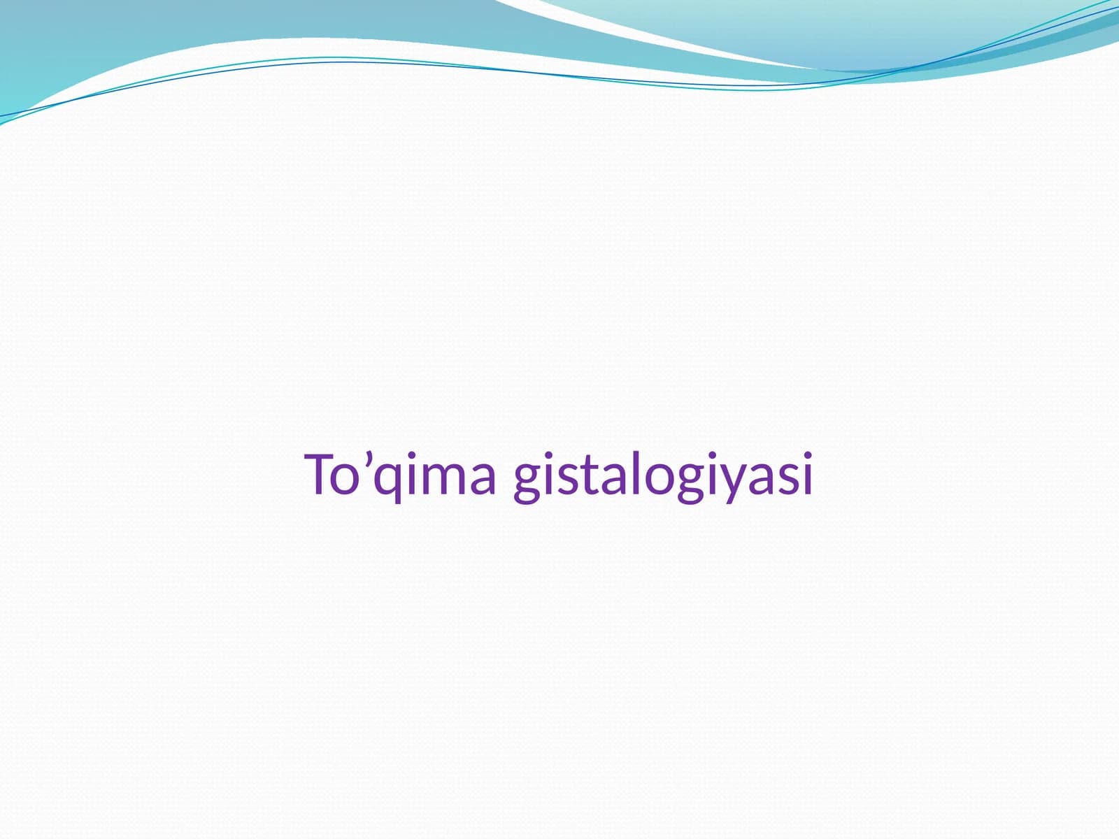 To’qimagistalogiyasi