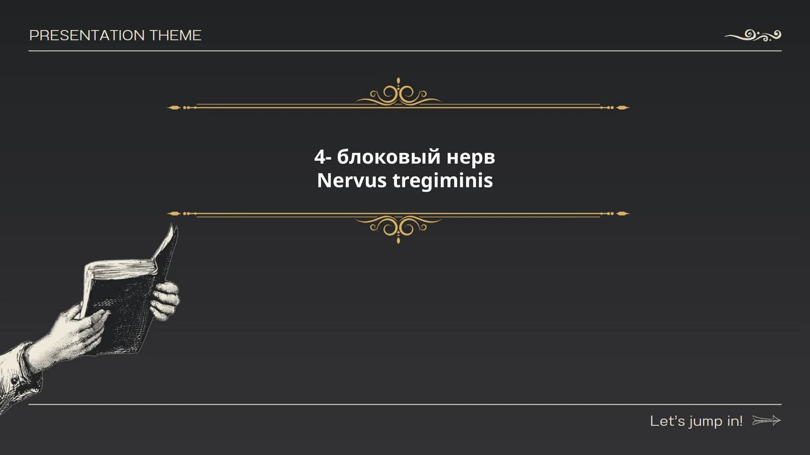 Четвёртый блоковый нерв (nervus trochlearis)