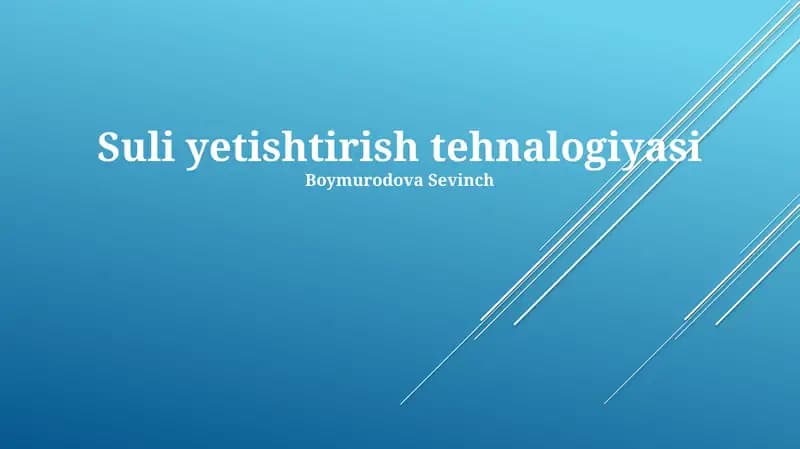 Suli yetishtirish tehnalogiyasi