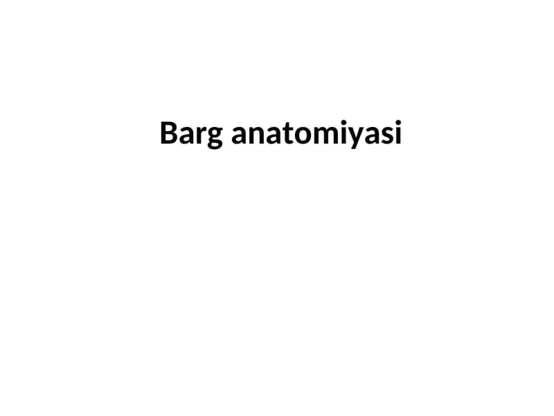 Barg anatomiyasi