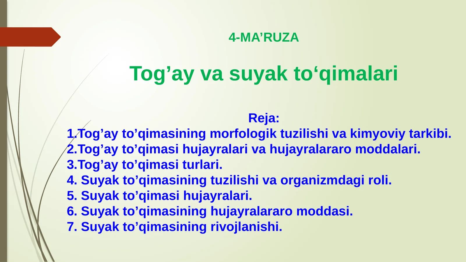 Tog’ay va suyak to’qimalari