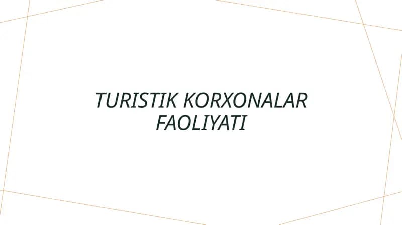 Turistik korxonalar faoliyati