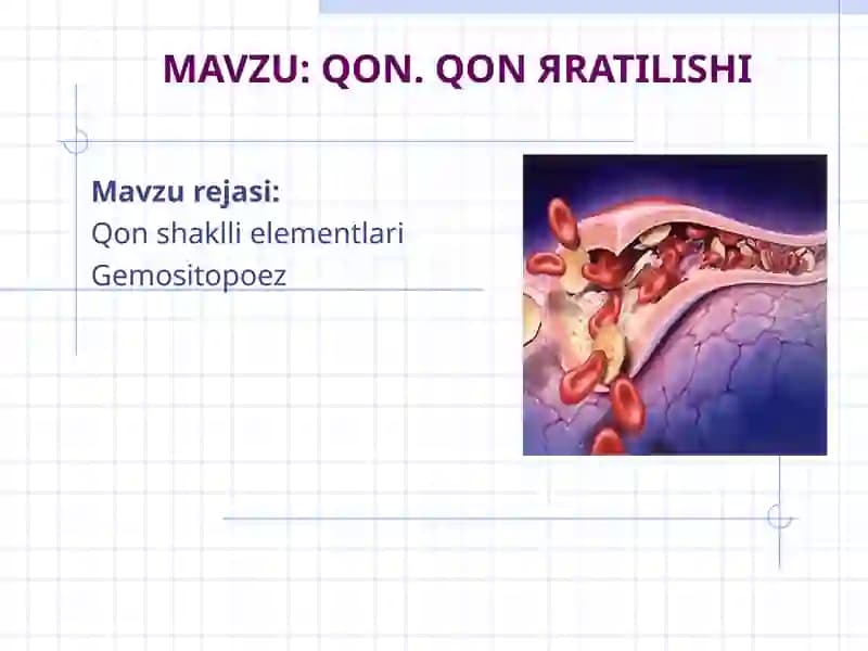 QON. QON ЯRATILISHI