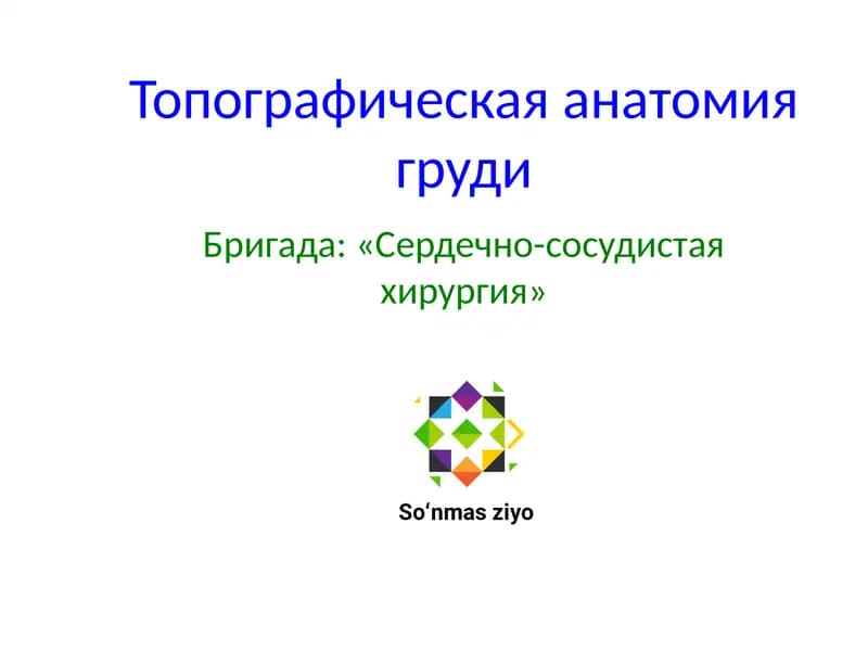 Топографическая анатомия груди