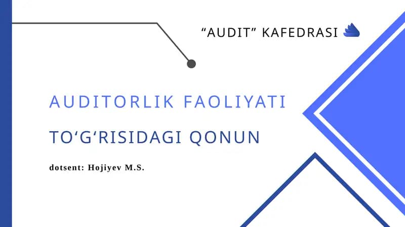 AUDITORLIK FAOLIYATI